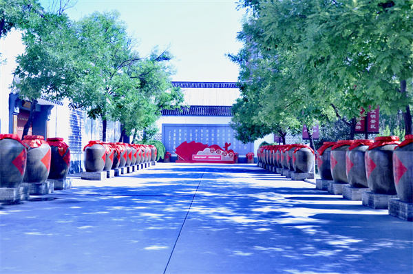 微信图片_20240528145510.jpg