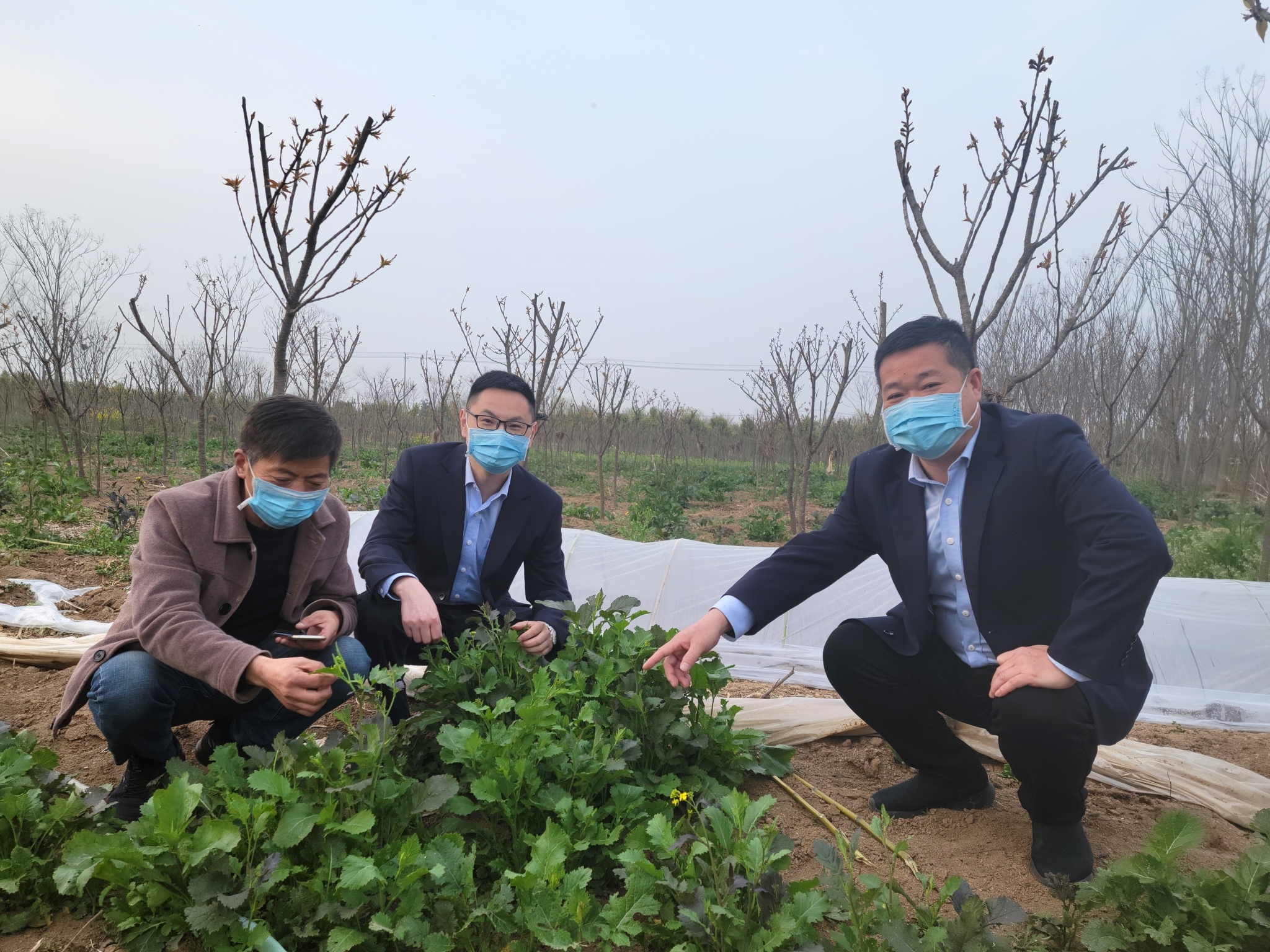 江苏农担淮安分公司鼓励农民发展精品种植