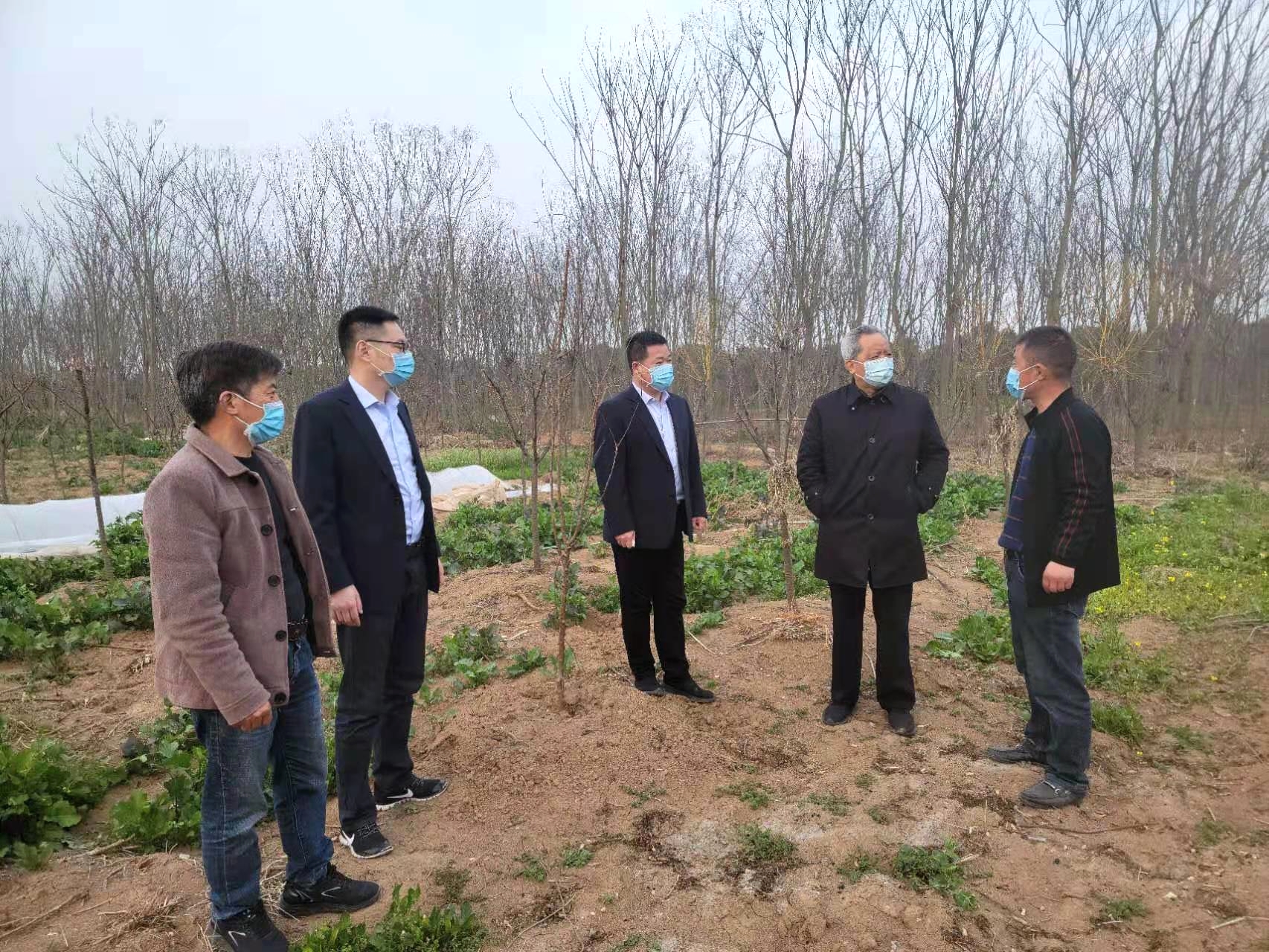 江苏农担淮安分公司鼓励农民发展精品种植